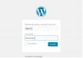 Instwordpress5bueno.PNG